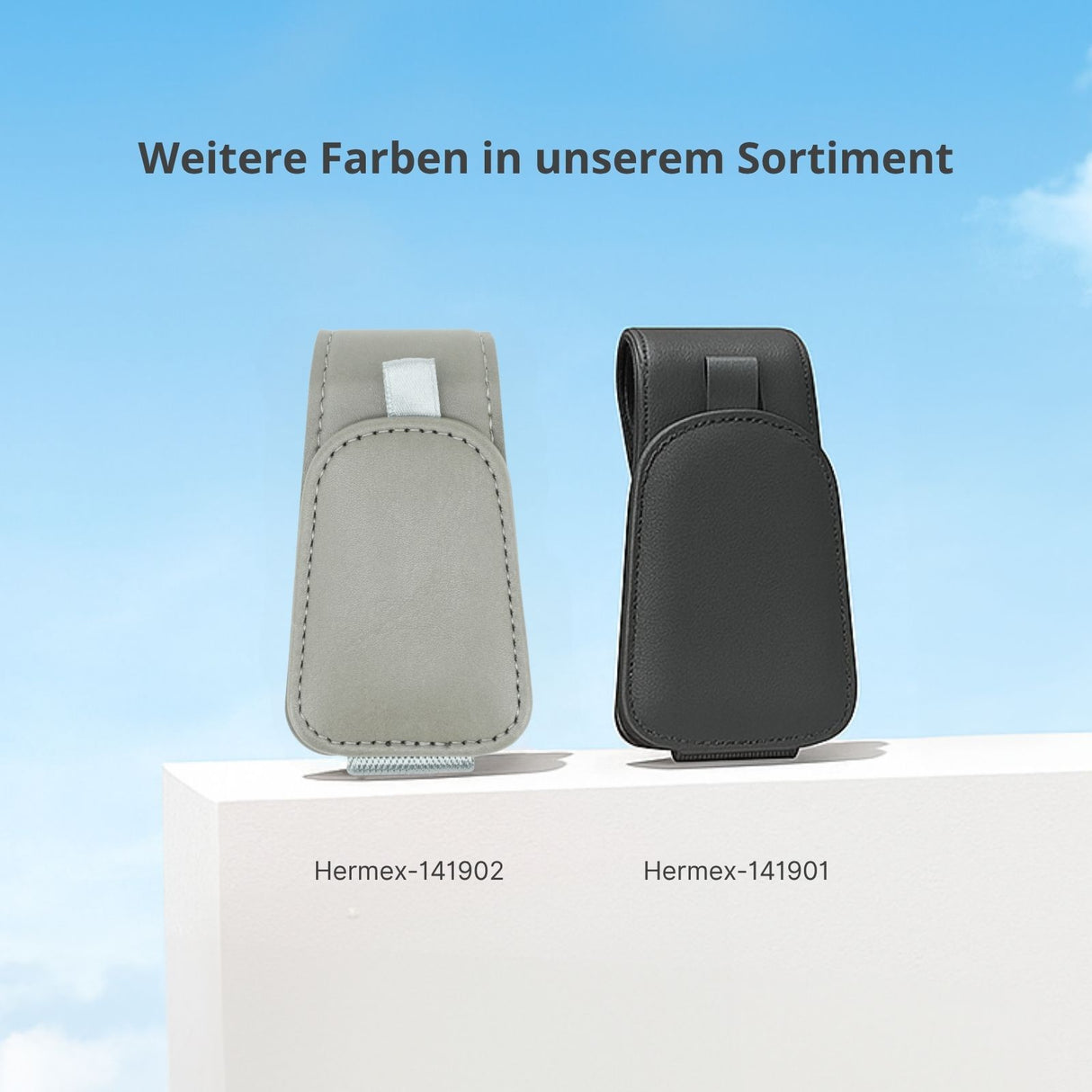 Brillenablage fürs Auto Sonnenblende-Clip Sonnenbrillenhalter Etui