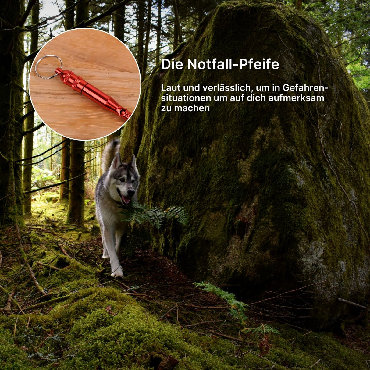 Survival-Kit Multifunktion Camping-Tools Outdoor Notfall Überlebenskit