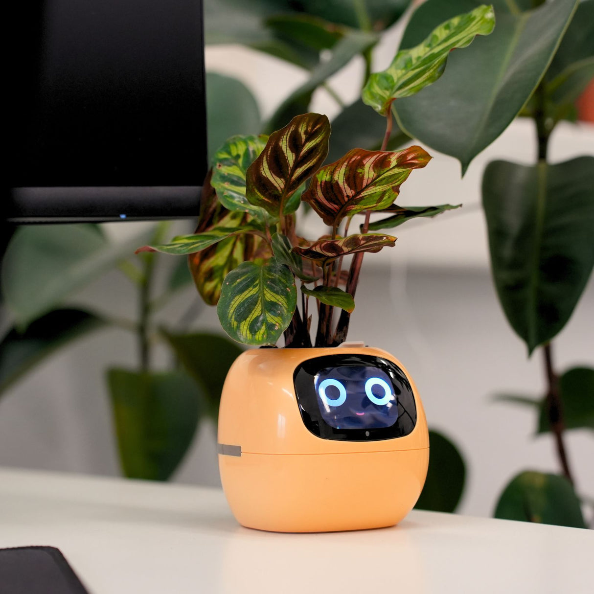 Elektronischer Blumentopf Smarter Blumentopf USB-Pflanzenübertopf Smart Plant Pot Ivy Smart Planter