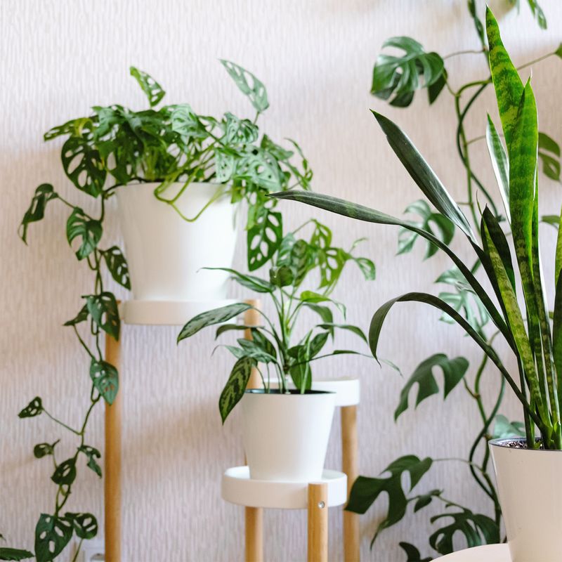 Blumenständer Pflanzen Ständer Regal Halter Treppe Gestell Blumentisch