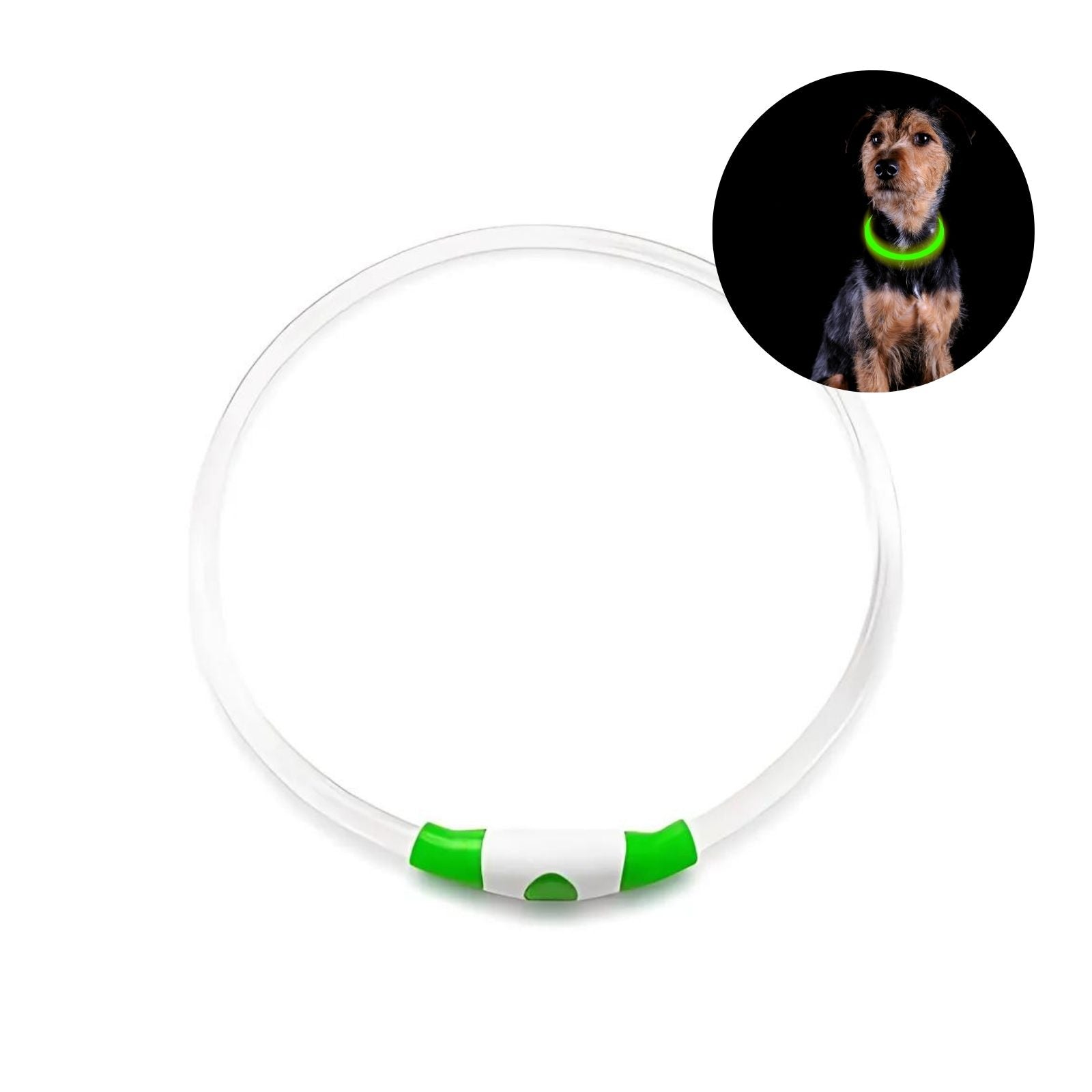 LED-Hundehalsband Sicherheits-Hundehalsband Leuchthalsband Schlauchhal   Hermex.ch