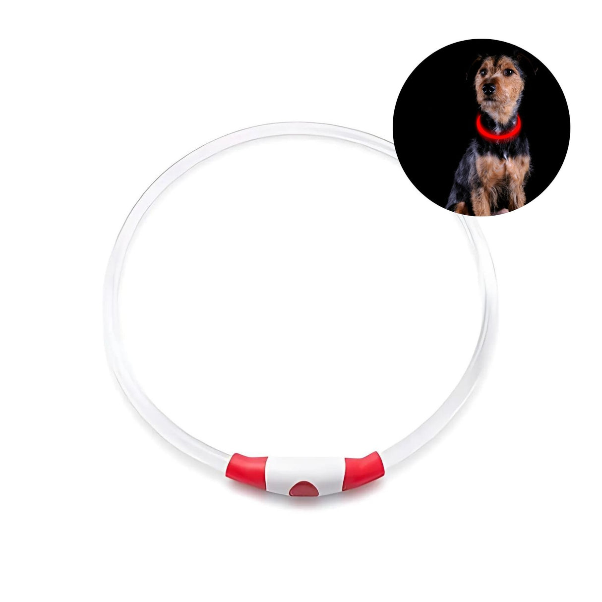 LED-Leuchthalsband Sicherheits-Hundehalsband Hundehalsband Schlauchhalsband