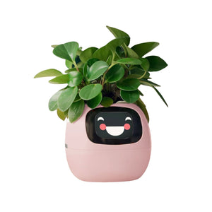 Smarter Blumentopf USB-Pflanzenübertopf Elektronischer Blumentopf Smart Plant Pot Ivy Smart Planter