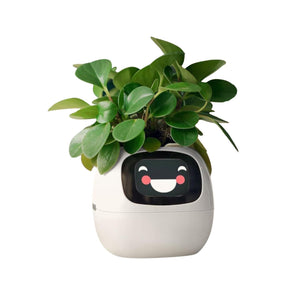 USB-Pflanzenübertopf Smarter Blumentopf Smart Plant Pot Elektronischer Blumentopf Ivy Smart Planter