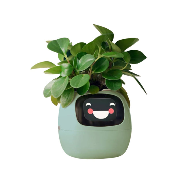 Smart Plant Pot Elektronischer Blumentopf USB-Pflanzenübertopf Smarter –  Hermex.ch