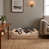 Haustierbett Grösse XL Kuschelbett Liegeplatz Hundebett Schlafplatz