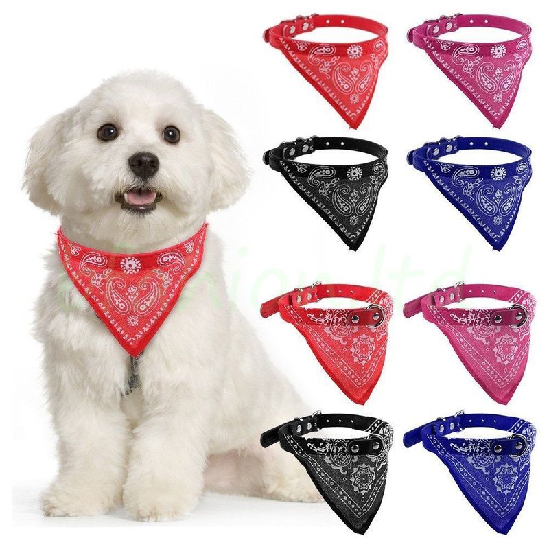 Hundehalsband mit Tuch Bandana Katze Einstellbar Leder Stoff M ROT