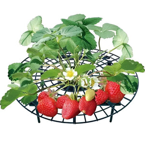 Erdbeerreifer Garten Erdbeerhalter Erdbeerstütze 10 Stück im Set