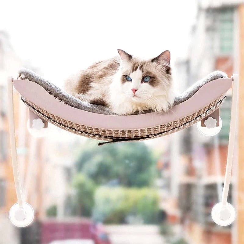 katzen hängematte wandbefestigung Katzenbett Hängeliege Hängematte Katzenkorb Katzennest Katzensofa Grau –  Hermex.ch