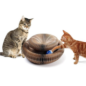 Katzen Spielzeug Ballspiel Haustierspielzeug Kratzspielzeug Kratzorgel