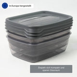 3er-Set Boxen Aufbewahrungsdosen Meal-Prep-Dosen Frischhaltedosen