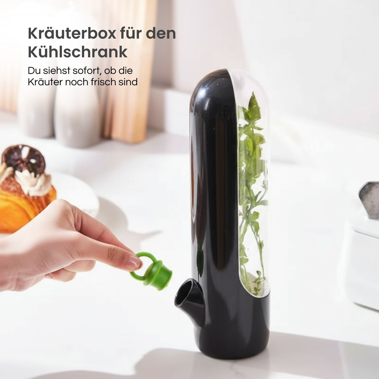 Kräuter-Aufbewahrungsbehälter Frischhaltebox für Kräuter Frischebox
