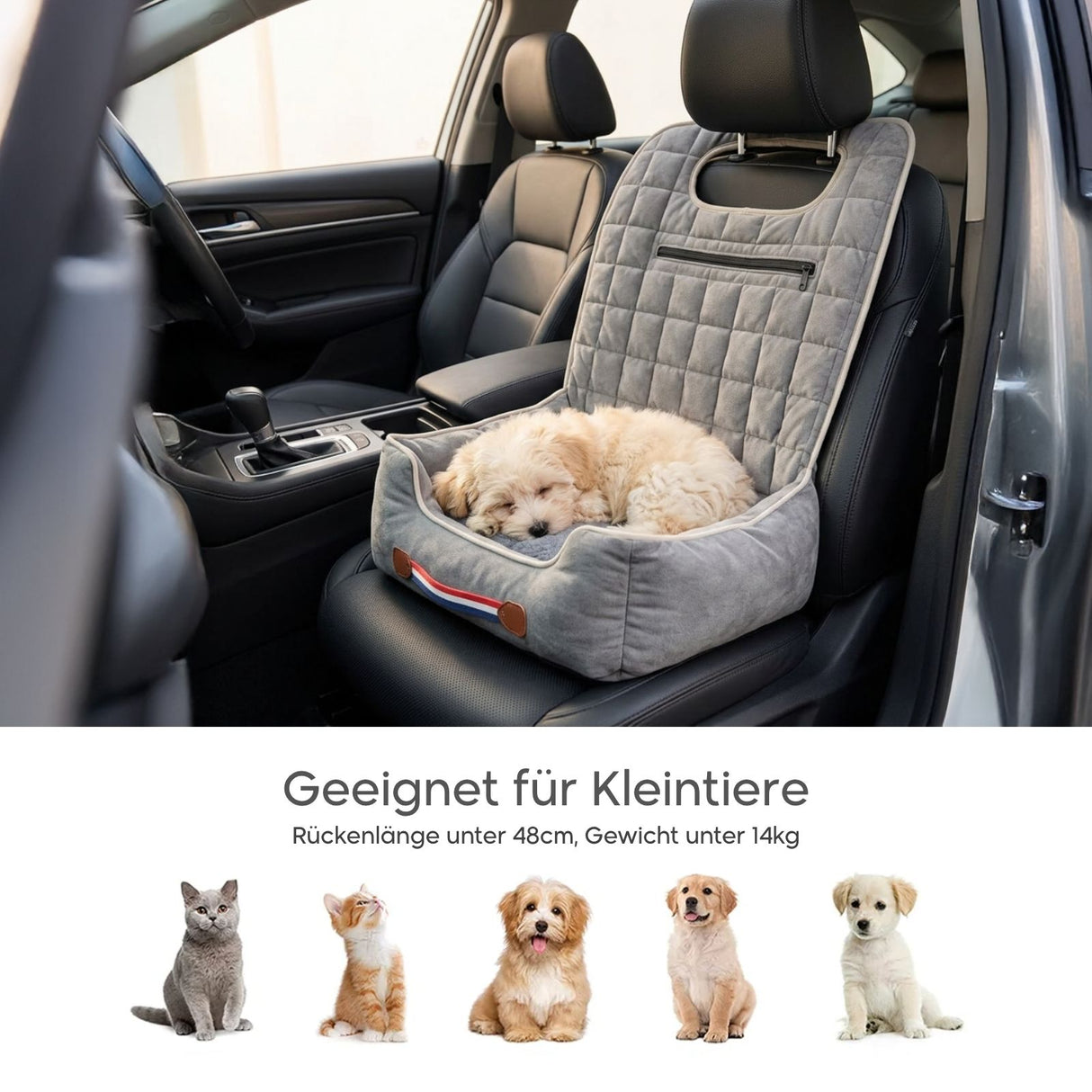 Autositz für Hund und Katze Hunde-Autositz Hunde-Reisesitz Hundebett
