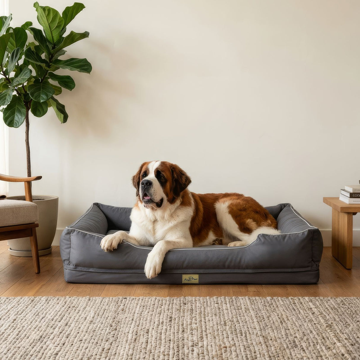 Hundebett Grösse 3XL Kuschelbett Schlafplatz Liegeplatz Haustierbett