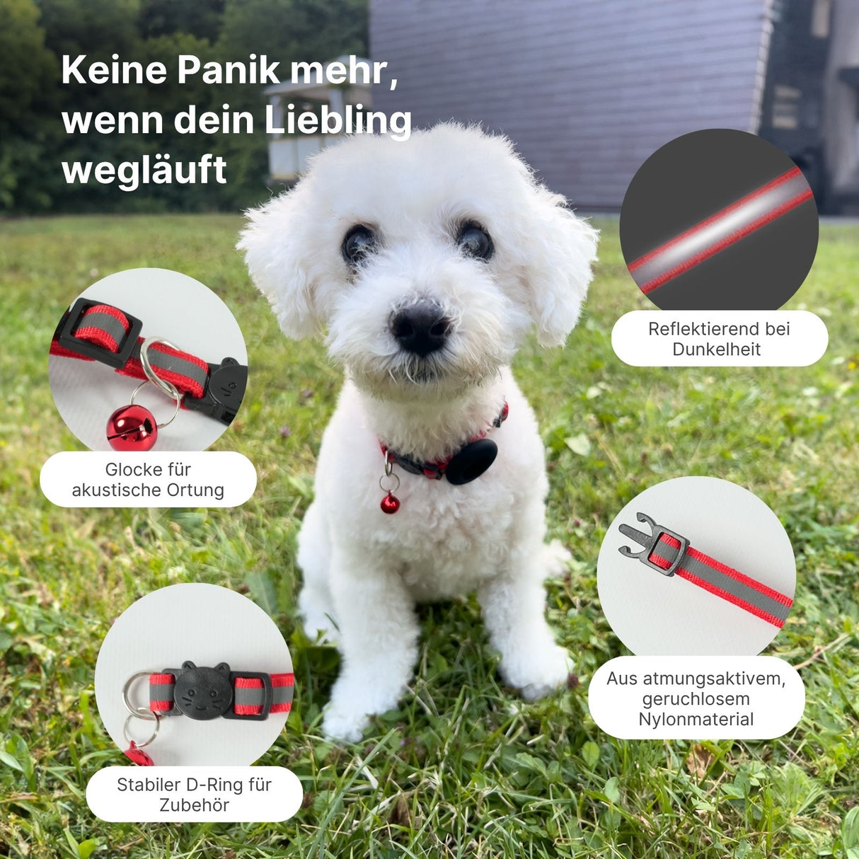 Halsband mit Airtag-Halterung Hundehalsband Katzenhalsband
