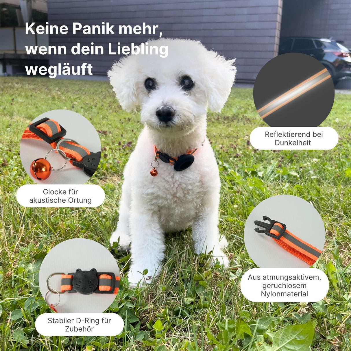 Katzenhalsband mit Airtag-Halterung Hundehalsband Halsband