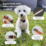 Katzenhalsband mit Airtag-Halterung Hundehalsband Halsband