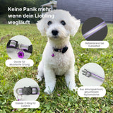 Halsband Katzenhalsband mit Airtag-Halterung Hundehalsband
