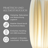LED-Dekoleuchte Tischleuchte Tischlampe Blumenvase Deko-Vase 3D-Vase