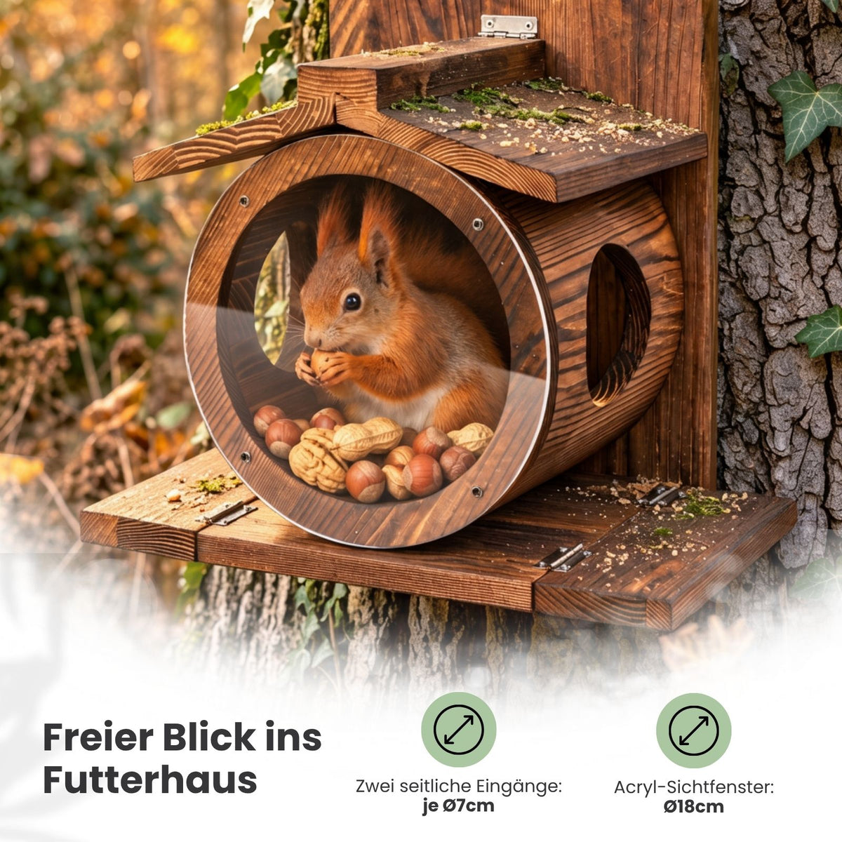 Eichhörnchen-Futterhaus Futterkasten Futterstation Futterstelle