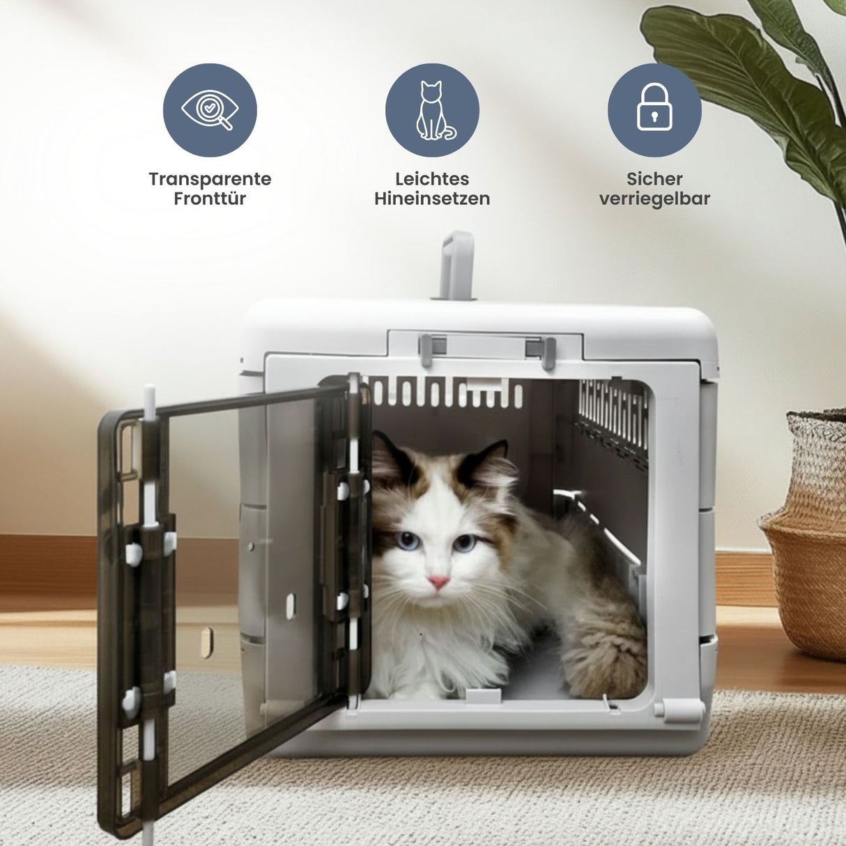 Zusammenklappbare Transportbox für Katzen Tiertransport Reisebox