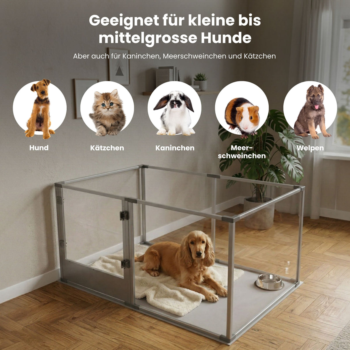 Tiergehege Welpenauslauf Indoorgehege Hundelaufstall Kleintiergehege