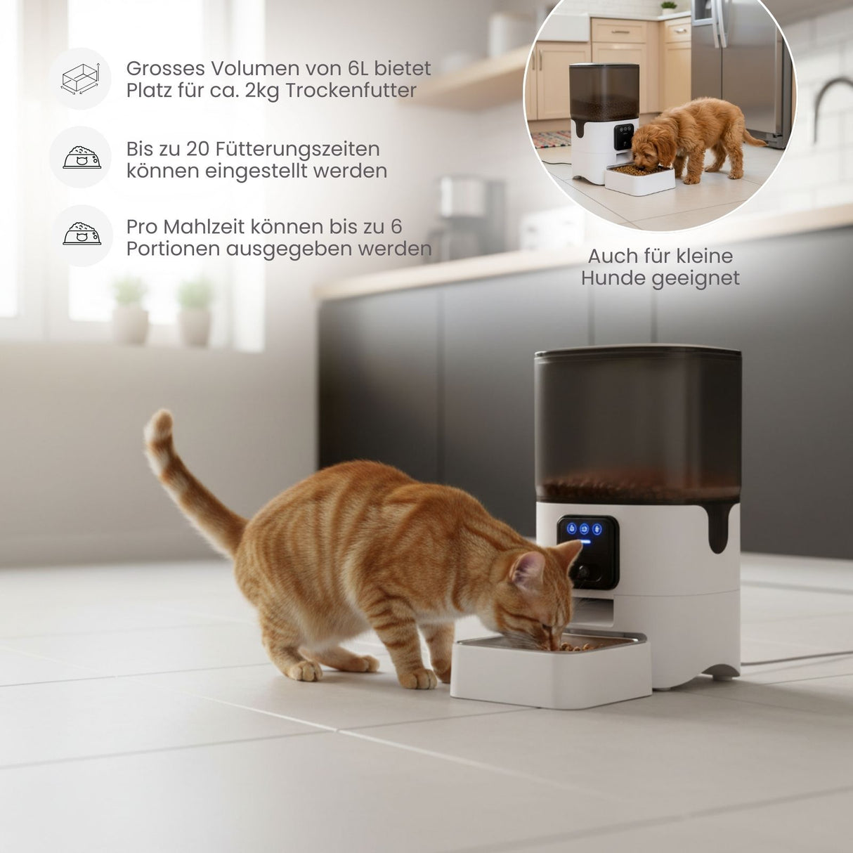 Automatischer Futterautomat für Katzen und Hunde Futterspender Napf