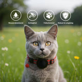 Halsband mit Airtag-Halterung Hundehalsband Katzenhalsband