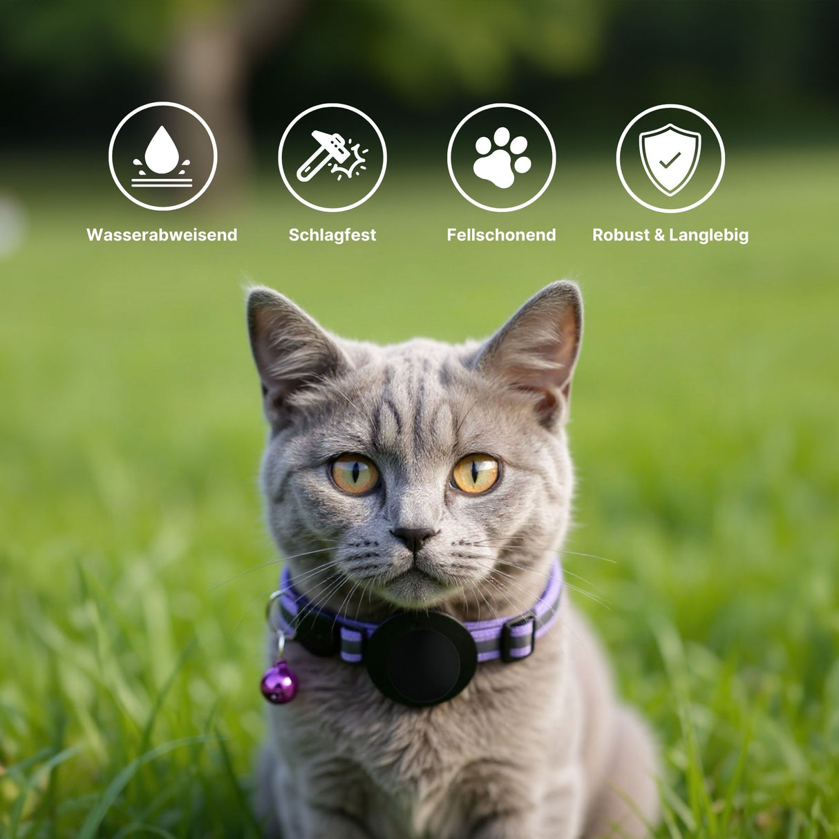 Halsband Katzenhalsband mit Airtag-Halterung Hundehalsband