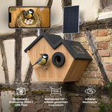 Vogelhaus mit Kamera und Solarpaneel Nistkasten Vogelhäuschen