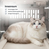 Zusammenklappbare Transportbox für Katzen Tiertransport Reisebox