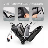 2in1 Kinderwagenkoffer Buggy Trolley Hartschalenkoffer Handgepäck