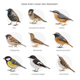 Vogelhaus mit Kamera und Solarpaneel Nistkasten Vogelhäuschen
