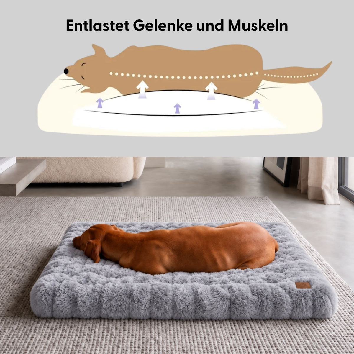 Hundebett Grösse XXL Hundekissen Schlafplatz Haustierbett Kuschelbett