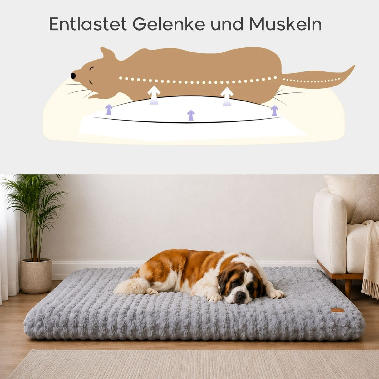 Hundebett Grösse 4XL Kuschelbett Schlafplatz Haustierbett Hundekissen