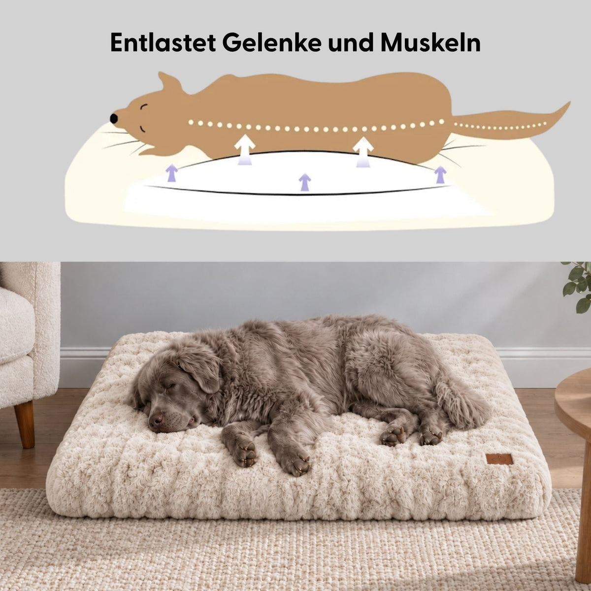 Kuschelbett Grösse 3XL Hundebett Hundekissen Schlafplatz Haustierbett