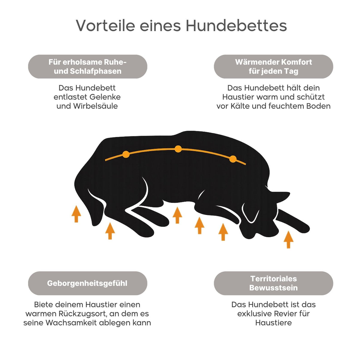 Autositz für Hund und Katze Hunde-Autositz Hunde-Reisesitz Hundebett