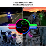 LED-Leuchthalsband Sicherheits-Hundehalsband Hundehalsband Schlauchhalsband