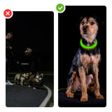 LED-Hundehalsband Sicherheits-Hundehalsband Leuchthalsband Schlauchhalsband