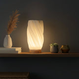 LED-Dekoleuchte Tischlampe Tischleuchte Blumenvase 3D-Vase Deko-Vase