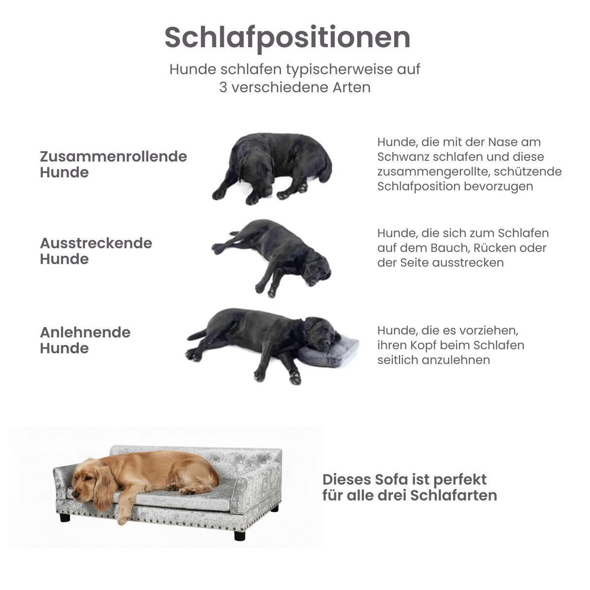 Hundecouch Grösse L Liegeplatz Hundebett Haustiersofa Hundesofa