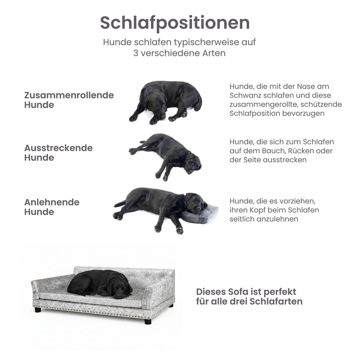 Hundecouch Grösse XL Liegeplatz Hundesofa Hundebett Haustiersofa