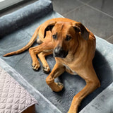 Hundebett Grösse XXL Hundekissen Tiermatte Hundesofa Haustiermatratze