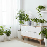 Tragbarer Luftbefeuchter Ultraschall Diffusor Mini-Luftbefeuchter