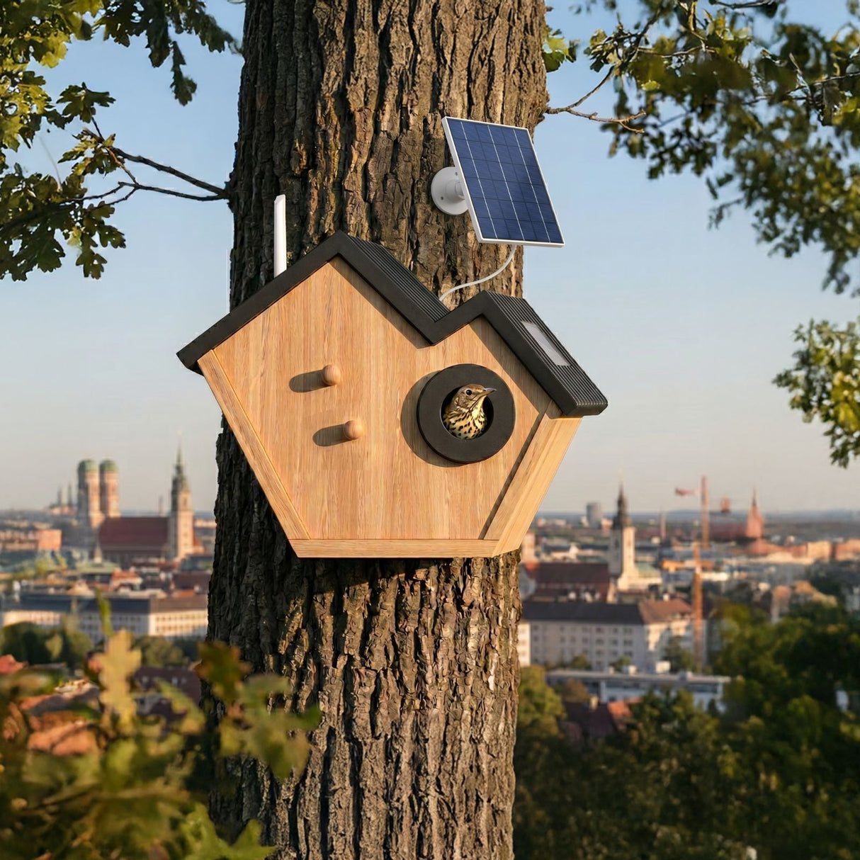 Vogelhaus mit Kamera und Solarpaneel Nistkasten Vogelhäuschen
