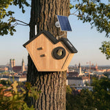 Vogelhaus mit Kamera und Solarpaneel Nistkasten Vogelhäuschen