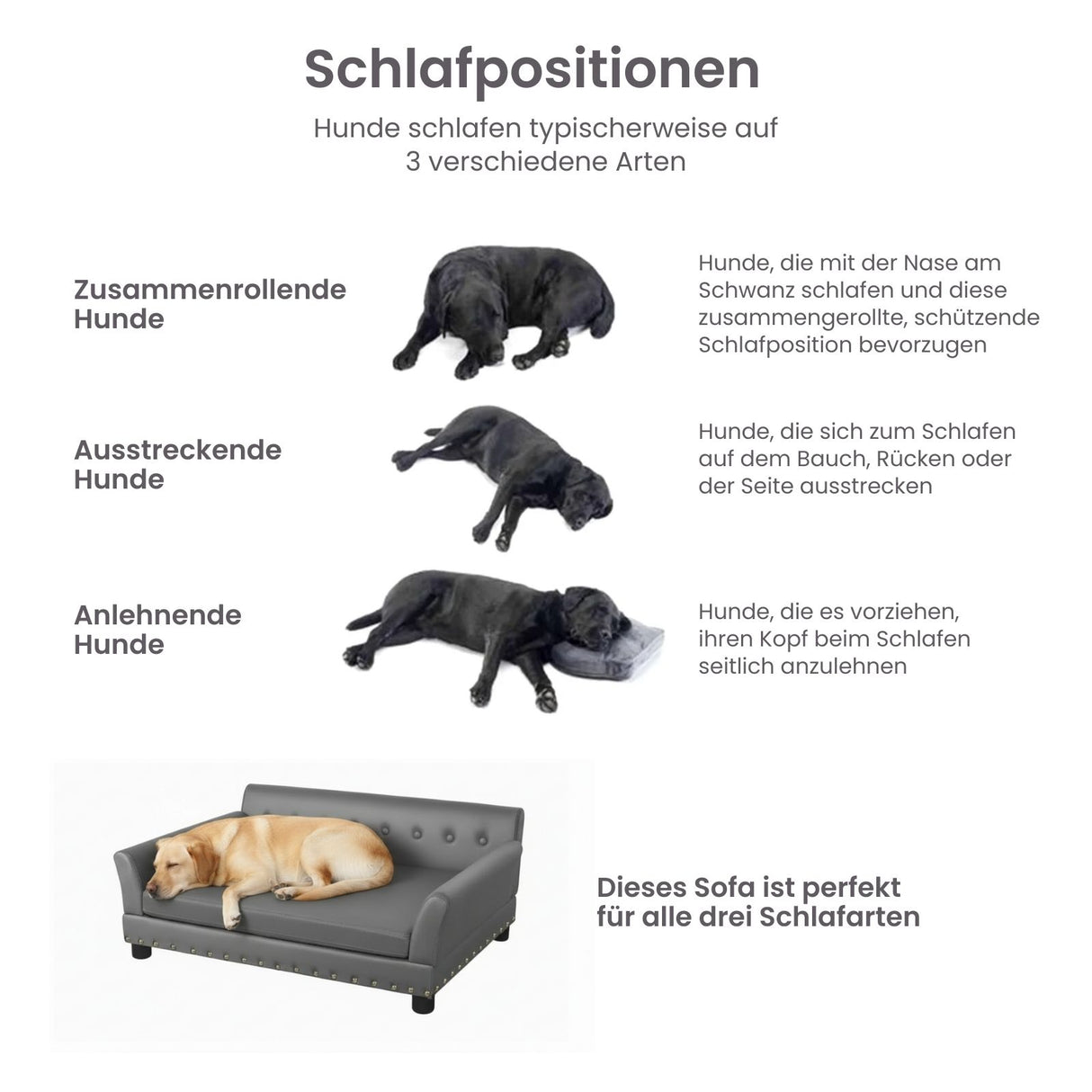 Hundesofa Grösse XL Liegeplatz Hundebett Haustiersofa Hundecouch